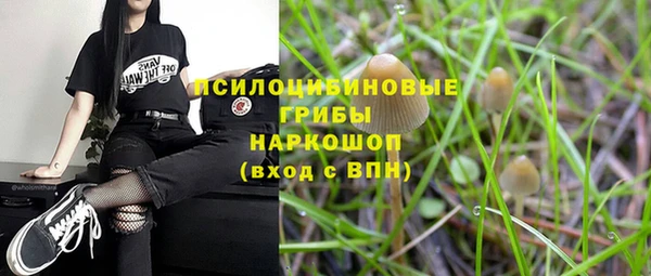 трава Абаза