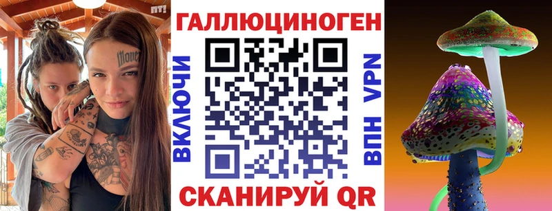 купить закладку Холмск OMG tor Галлюциногенные грибы Psilocybine cubensis